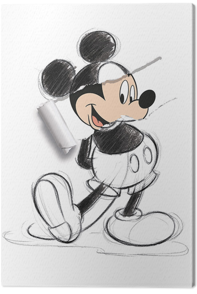 Leinwand Poster, Bilder Micky Maus (Mickey Mouse) - Torn Sketch, Wanddekorationen