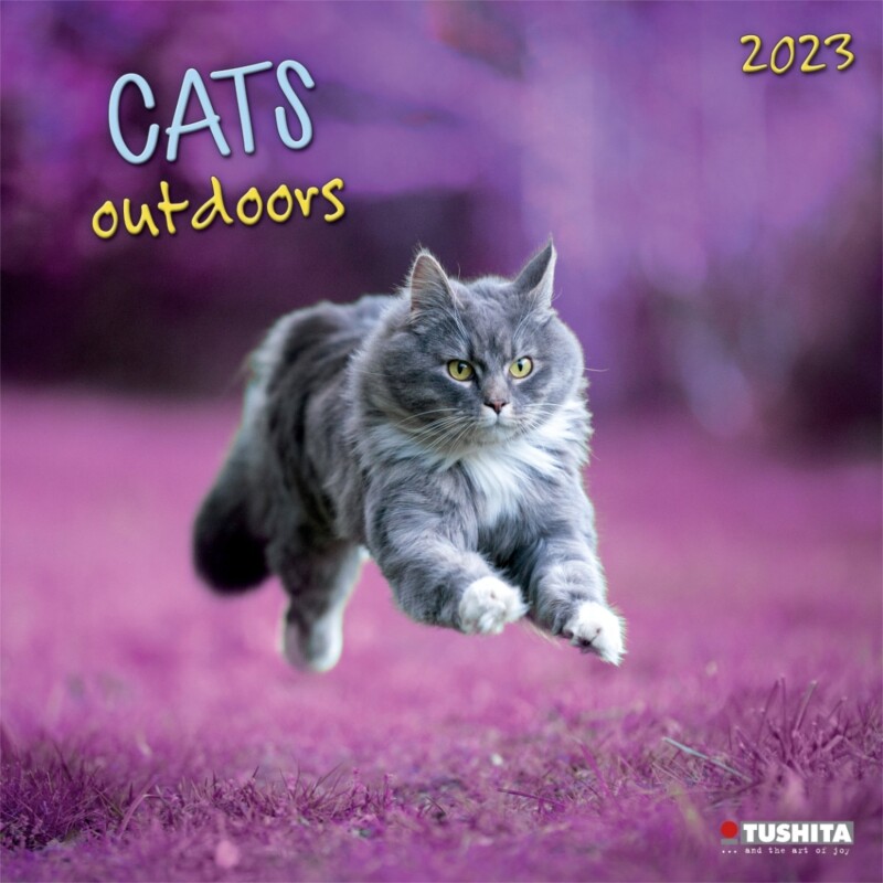 Cats Outdoors - Falinaptárak 2023 | Vedd meg az Europosters