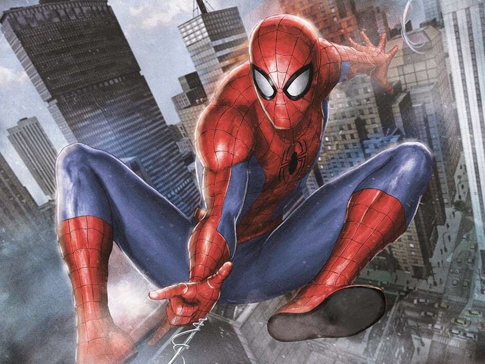 Cuadros en lienzo Spider-Man - In Action | Decoraciones de la pared |  