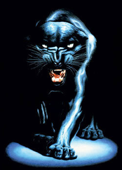 Black panther Poster online på Europosters