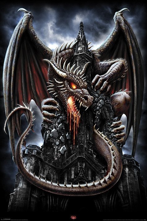 Spiral dragon Plakat, Poster online på Europosters