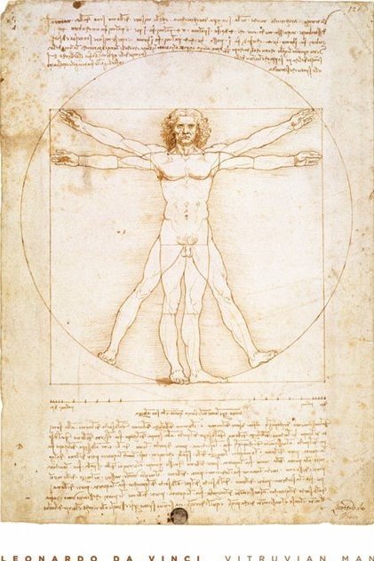 سجين جناح التدقيق  Leondardo da Vinci - vitruvian man Plakat, Poster, Slika | Europosterji