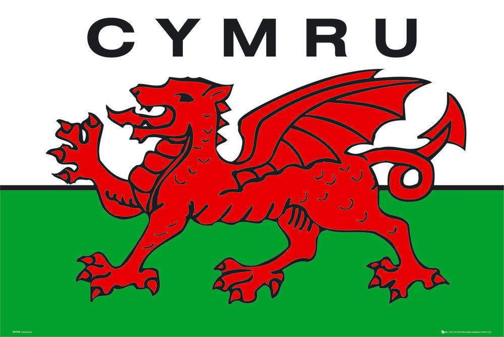 Plakát Wales - flag | Obraz na zeď | 3+1 zdarma | Posters.cz