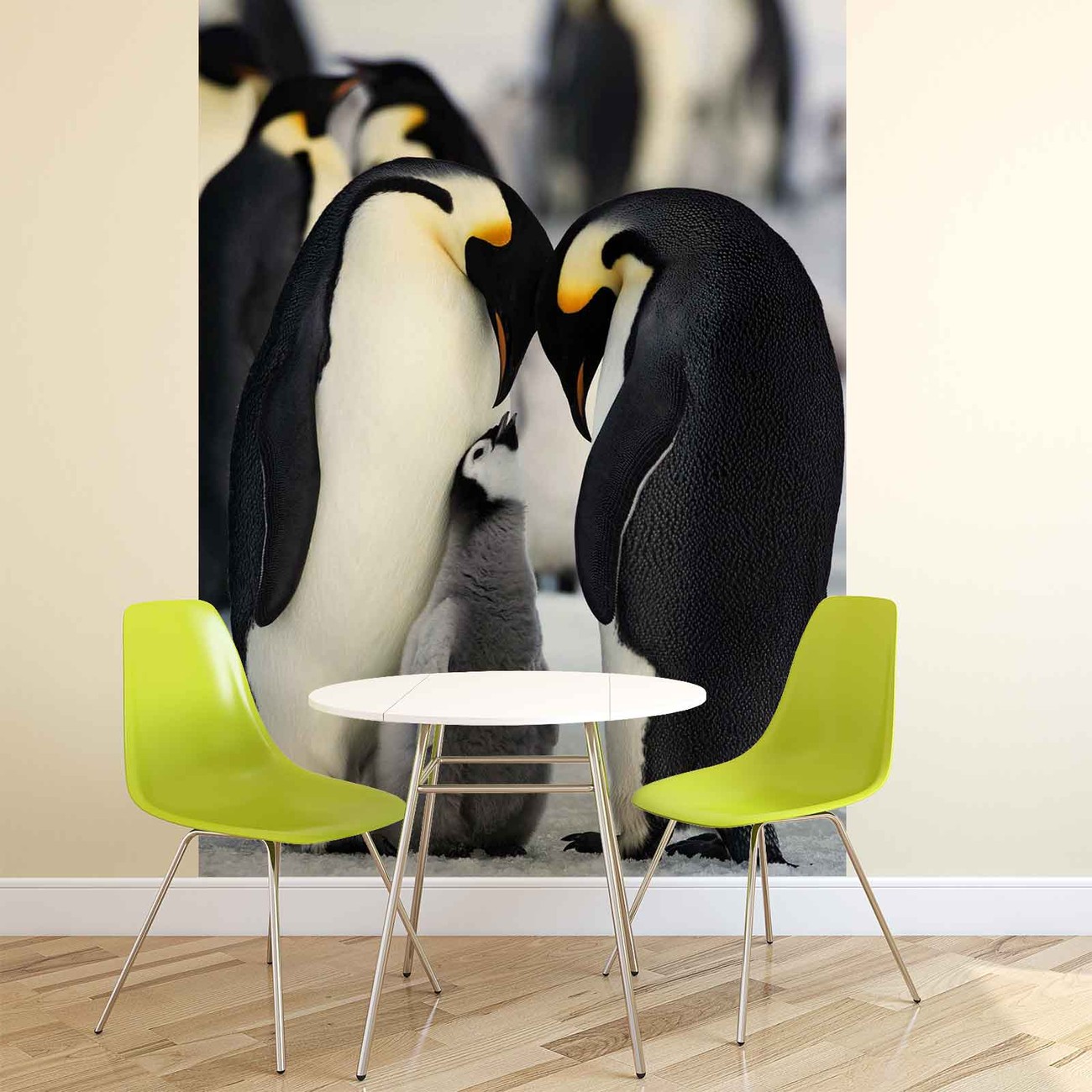  Animaux  Pingouin Poster  Mural  Papier peint Acheter le 