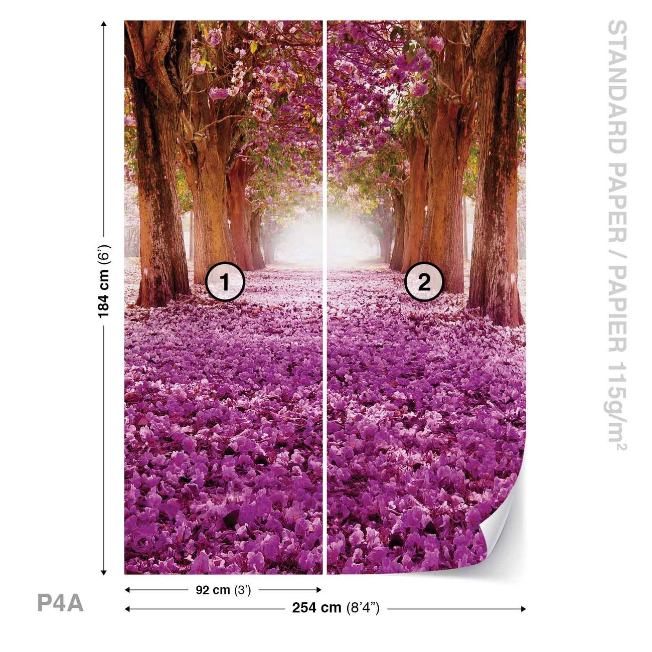 Chemin dans les Arbres  en Fleur Rose Poster  Mural Papier 