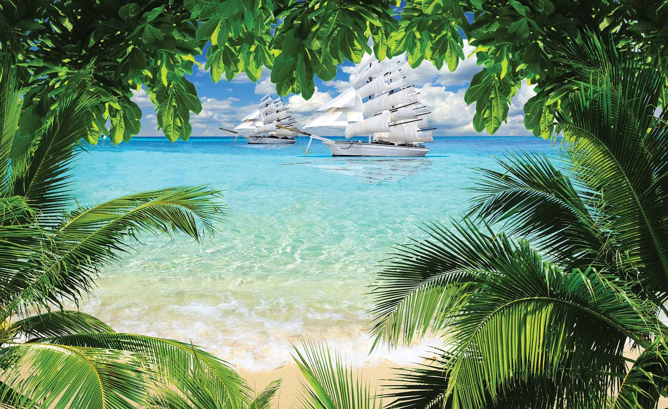  Plage  le Tropical Poster  Mural Papier peint Acheter le 