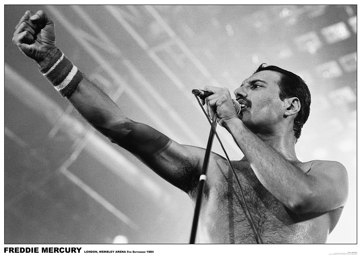Laminado Freddie Mercury Poster Reina En Wembley Nuevo 