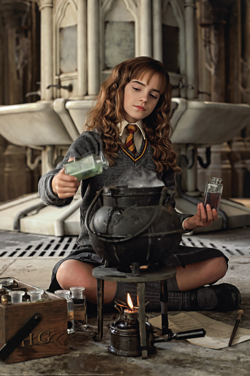 Poster Harry Potter - Hermione Granger | Muur posters | 3+1 GRATIS |  Europosters