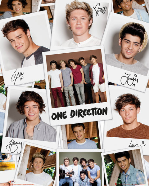 One Direction Polaroids Póster Lámina Compra En Posterses 5903