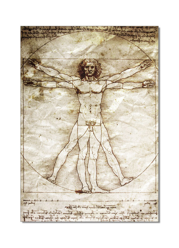 مائع بيرس قش  Leonardo da Vinci - Vitruvian Man Slika, Stenska slika | Europosterji.si