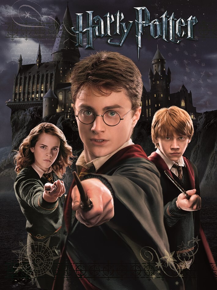 Stampa su tela Harry Potter - Harry, Ron, Hermione, Decorazioni murali