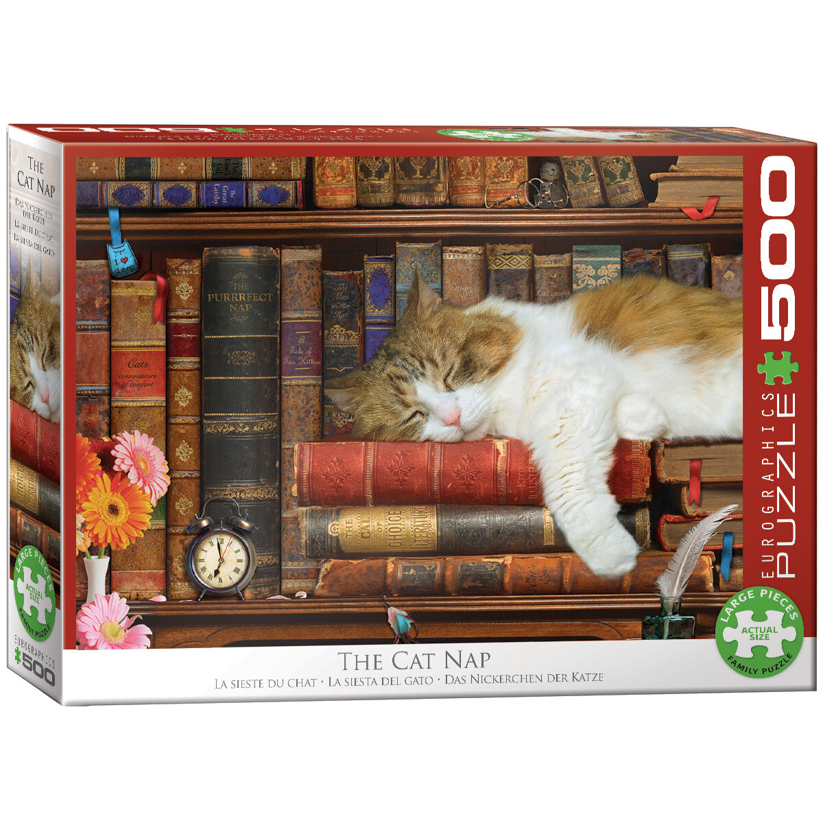 cat nap puzzle