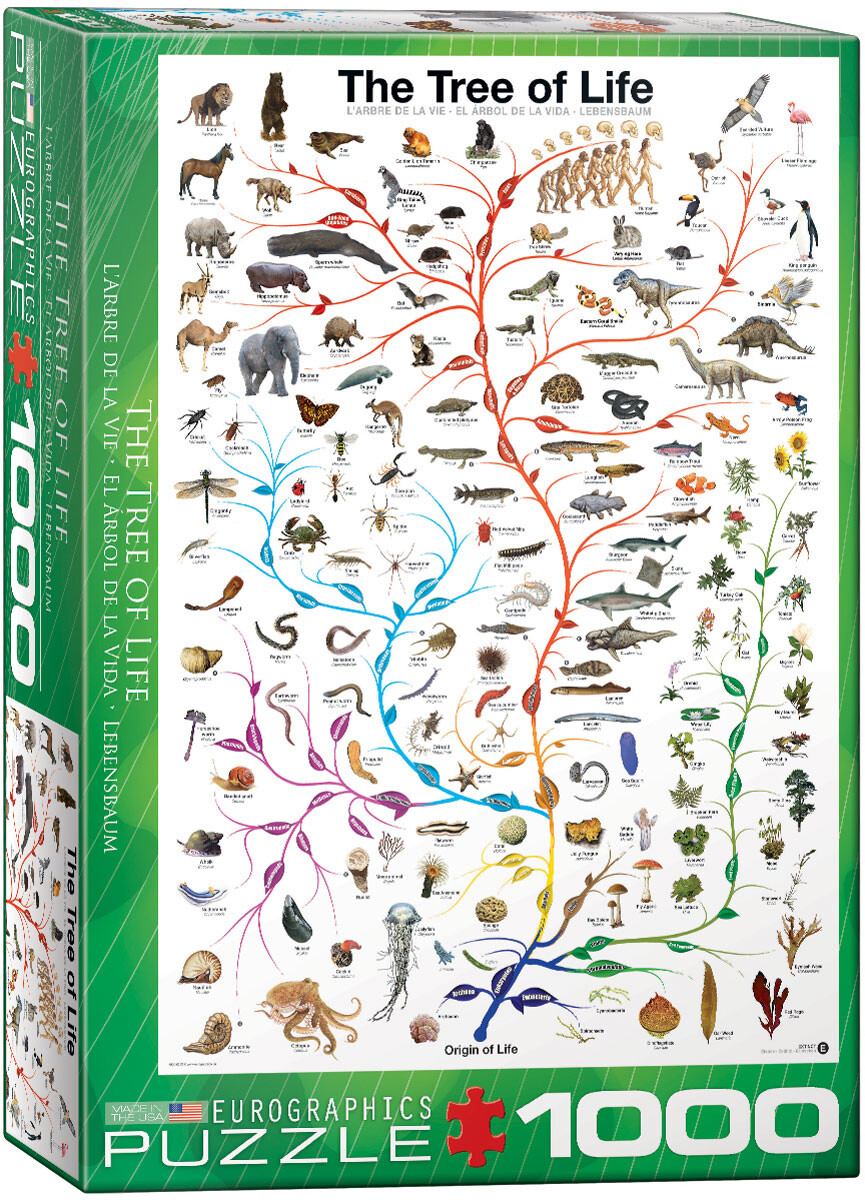 Puzzle The Tree Of Life Originelle Geschenkideen Europosters