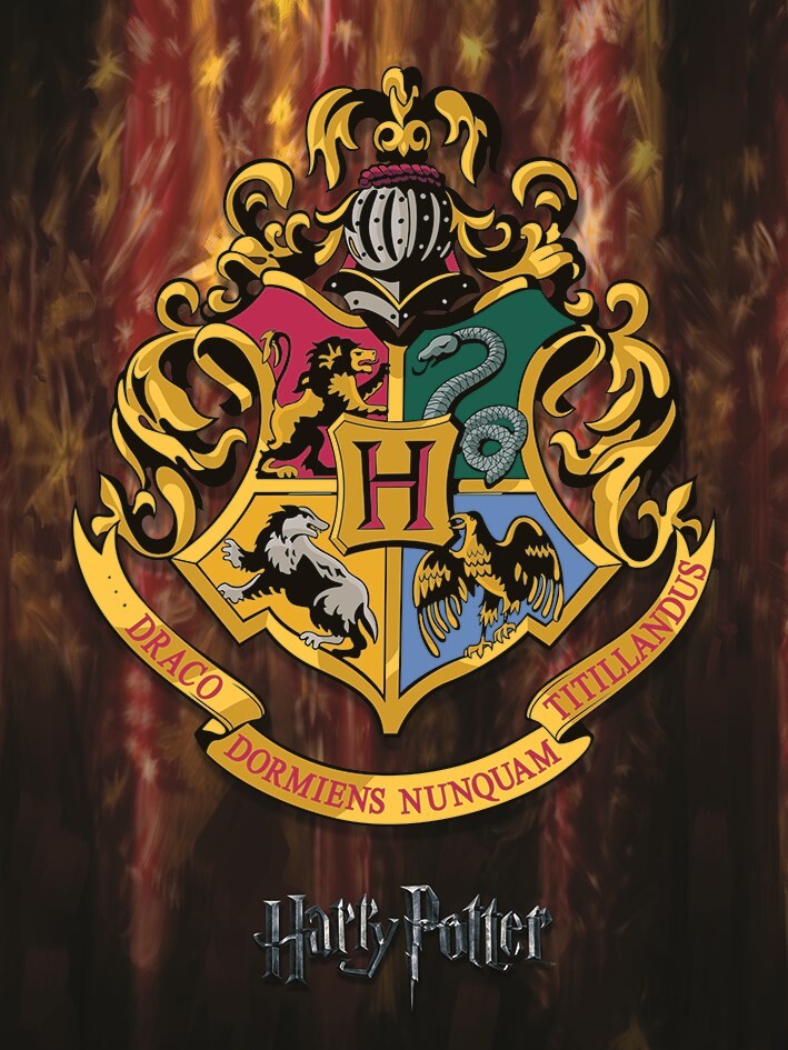 Voilà le drapeau « Hogwarts » que - Les Motifs de Morgane