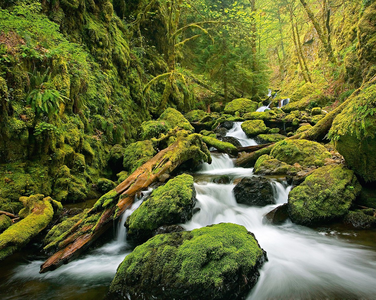 Green Canyon Cascades Wall Mural | Buy online at UKposters