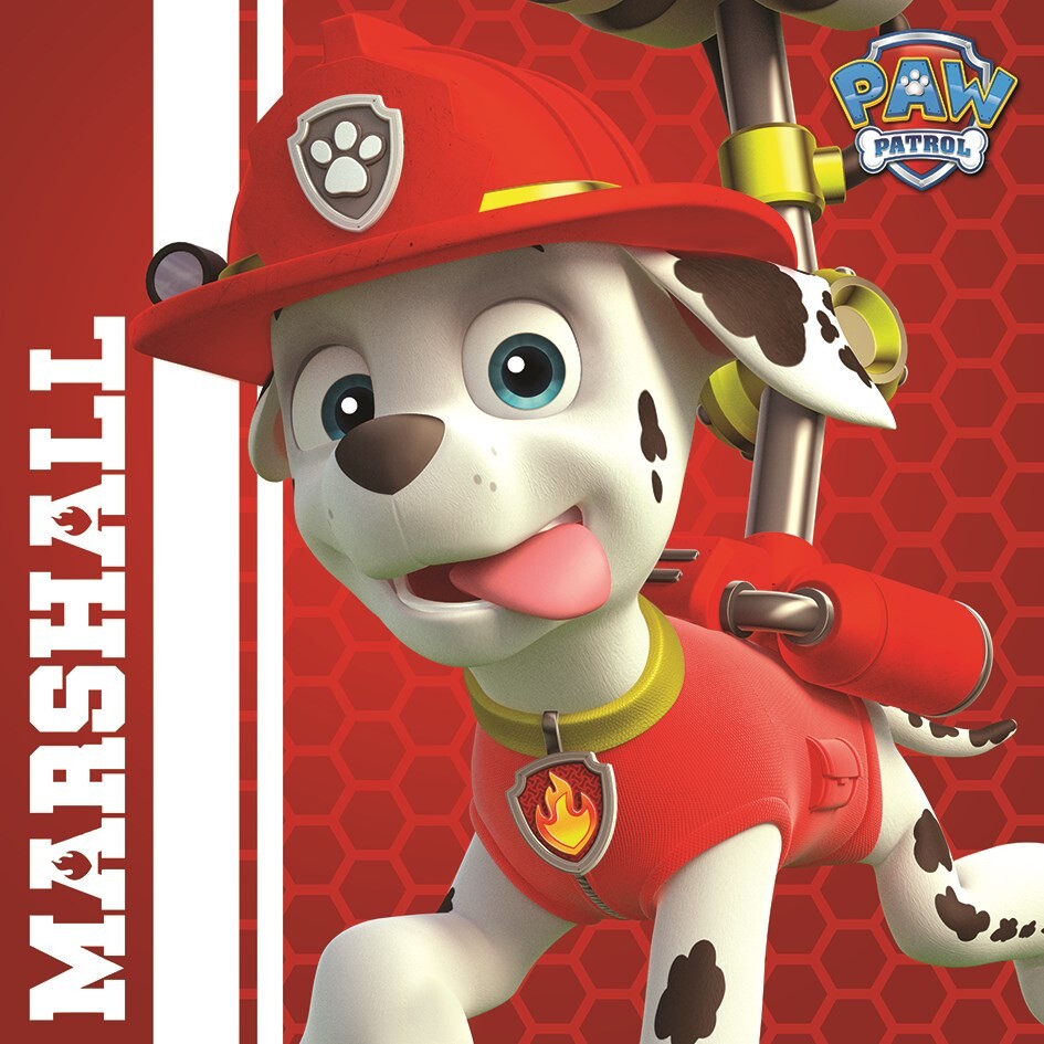 Paw patrol marshall's clearance pet rescue track set