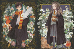 Harry Potter - Ilustrácie