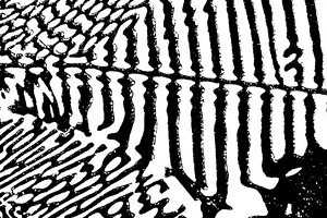 Abstraksjon i svart-hvitt
