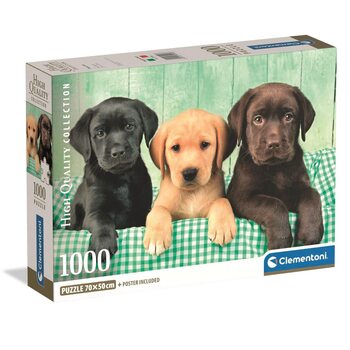 Labrador