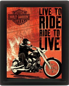 HARLEY DAVIDSON - live 3D Innrammet