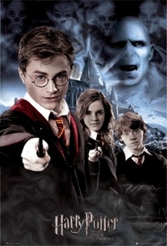 HARRY POTTER - collage 3D 3D Plakat