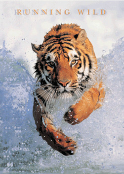 RUNNING WILD - 3D 3D Plakat