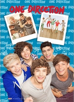 One Direction - polaroid 3D Plakat