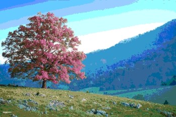 Tree hill - seasons 3D Plakát, 3D Obraz