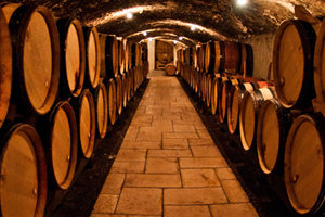 Caves à vin