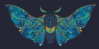 Samolepka Abstract mystical Moth in psychedelic design.