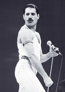 Poster Freddie Mercury - Live Aid