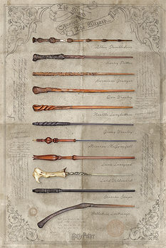 Poster Harry Potter - The Wand Chooses The Wizard