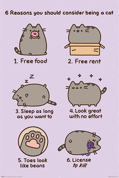 Poster Pusheen - Reasons to be a Cat