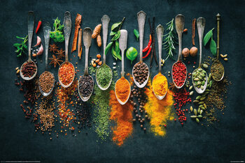 Poster Spices