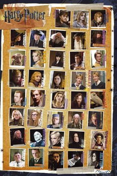 HARRY POTTER 7 - characters Poster
