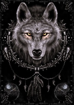 Spiral - wolf dreams Poster