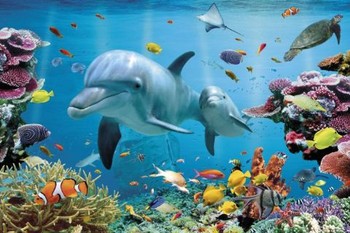 Tropical uderwater ocean Poster