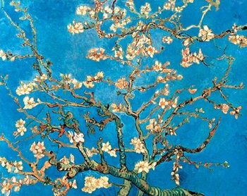 Framed Poster Almond Blossom
