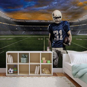 Ταπετσαρία τοιχογραφία  American Football Stadium