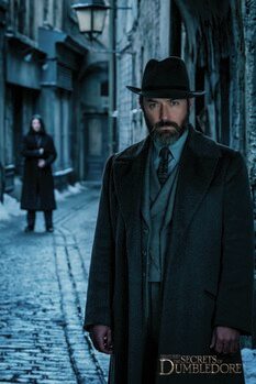 Tablou pe pânză Animale fantastice - Dumbledore's secrets