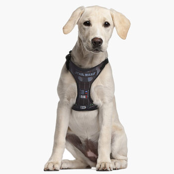 Arneses para perros Star Wars - Darth Vader