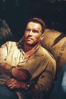 Bild auf Leinwand Arnold Schwarzenegger, Collateral Damage