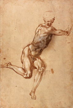 Reproducción de arte A seated male nude twisting around, c.1505