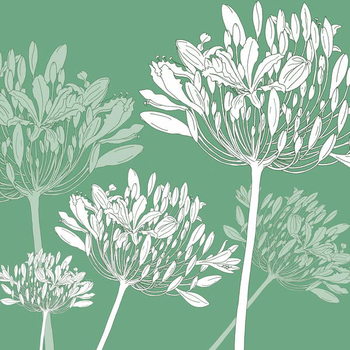 Agapanthus breeze, 2005 Reproduction de Tableau