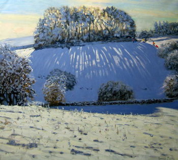 Field of shadows, near Youlgrave, Derbyshire Reproduction de Tableau