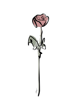 Illustration Fiore colore