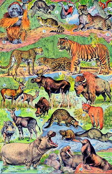 Reproducción de arte Illustration of Wild Animals c.1923