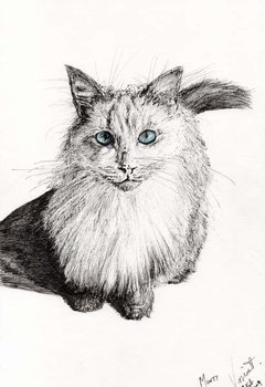 Reproducción de arte Monty, 2009,