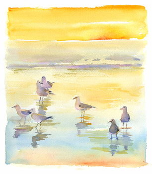 Seagulls on beach, 2014, Reproduction de Tableau
