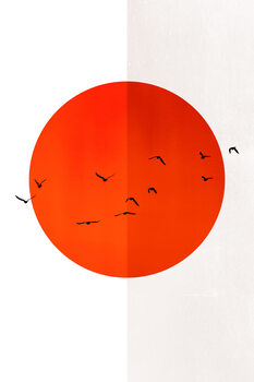 илюстрация 13 Seagulls In The Sun
